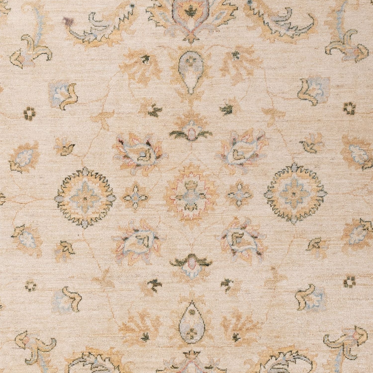 Ziegler Teppich - 304 x 204 cm - beige