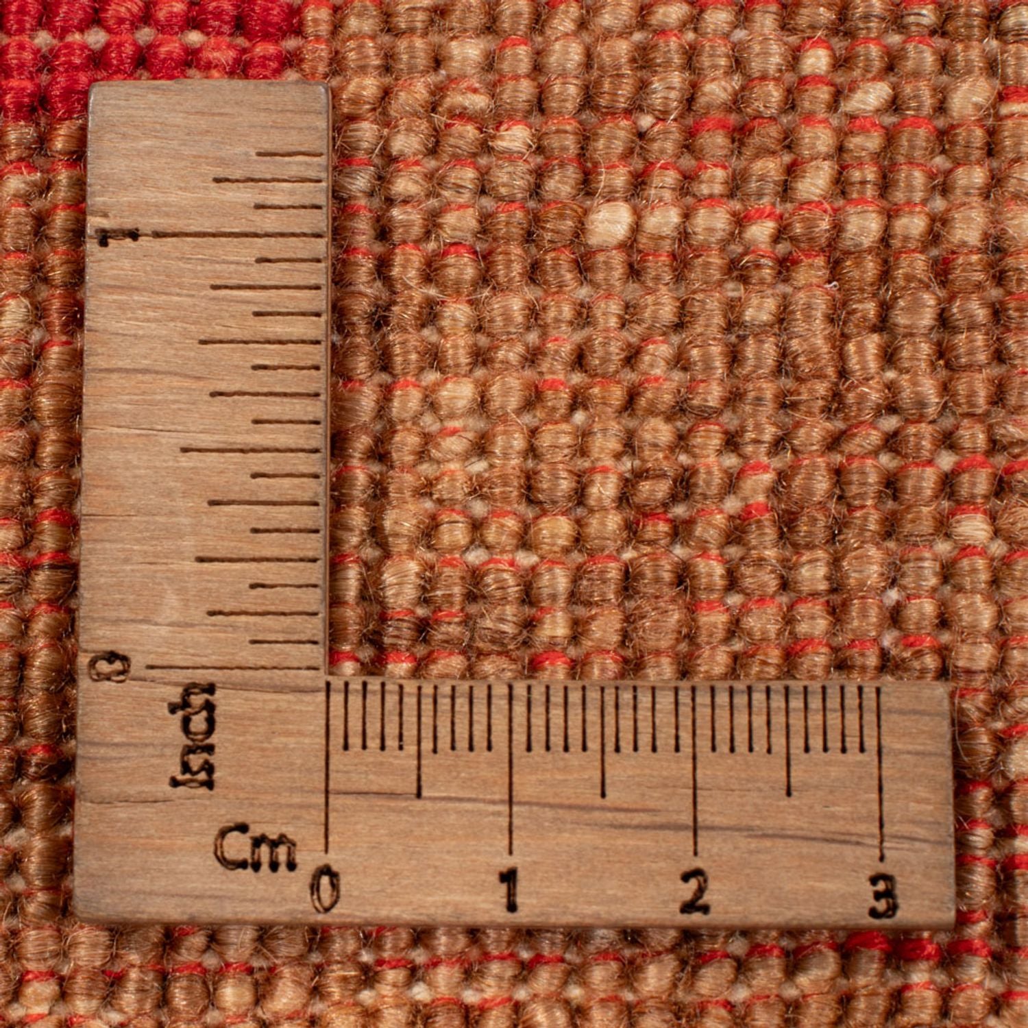Ziegler Teppich - Ariana - 288 x 204 cm - dunkelbeige