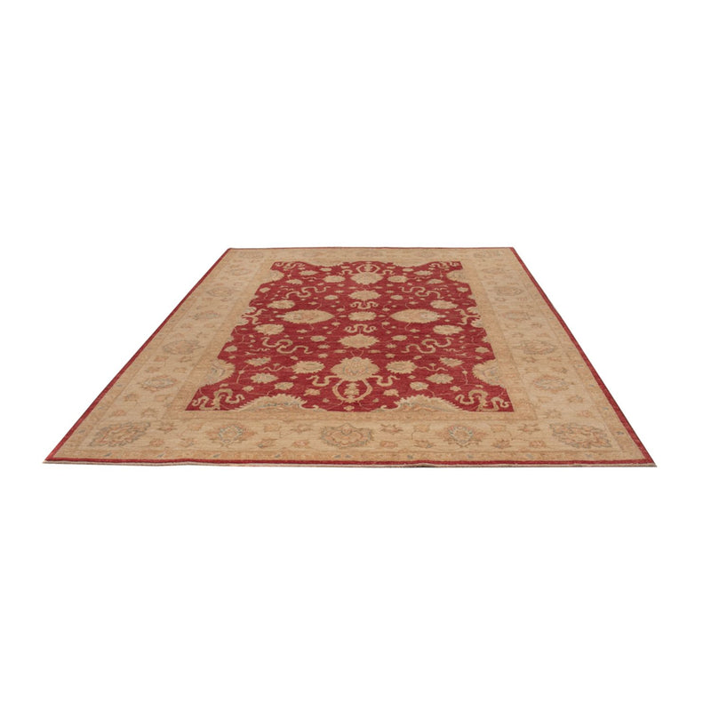 Ziegler Teppich - 297 x 203 cm - rot