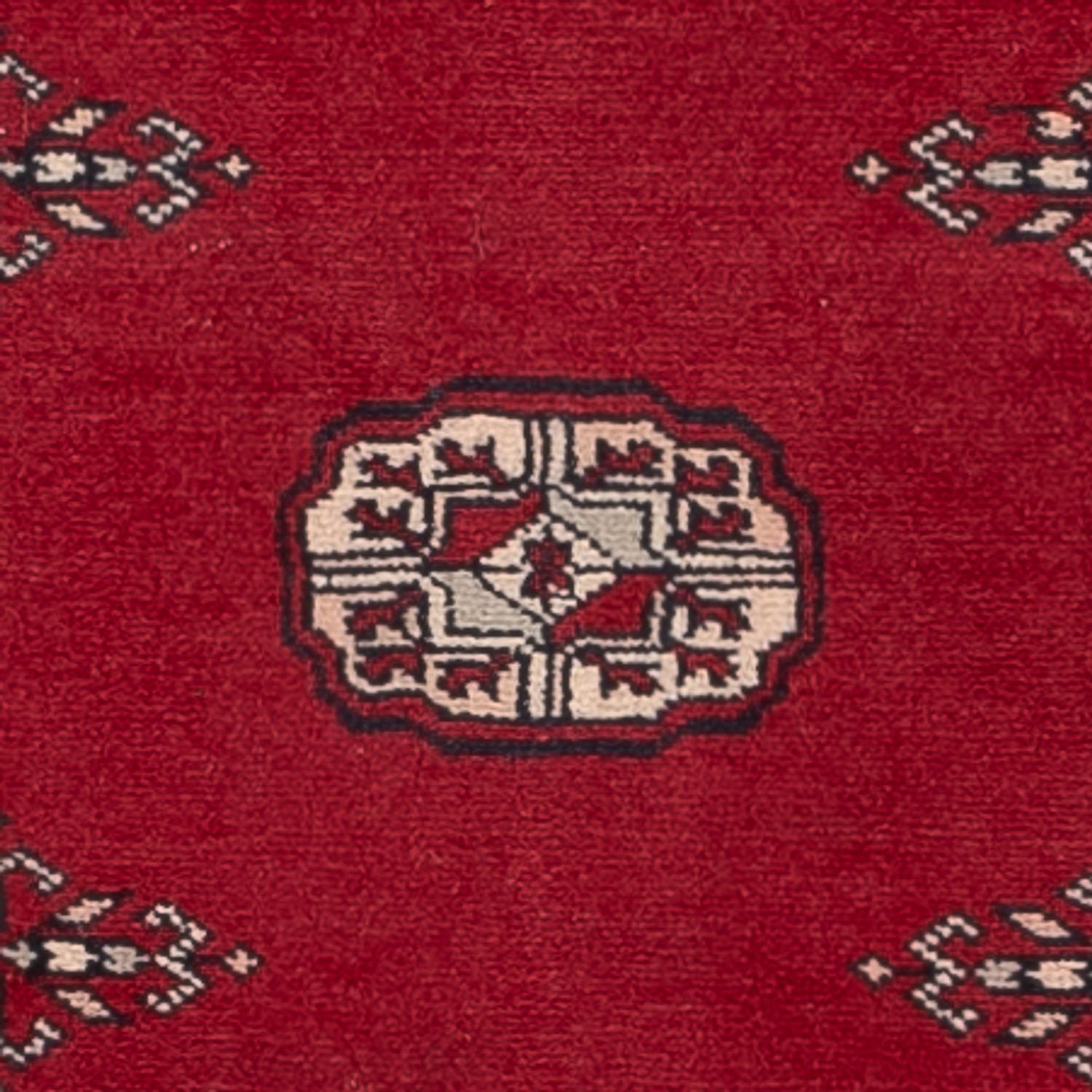 Läufer Pakistan - 257 x 75 cm - rot