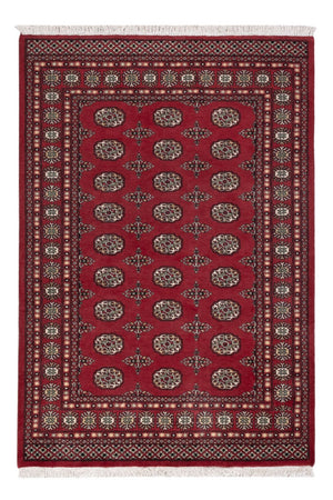 Pakistan Teppich - 204 x 139 cm - rot