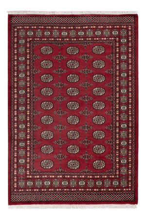 Pakistan Teppich - 204 x 141 cm - rot
