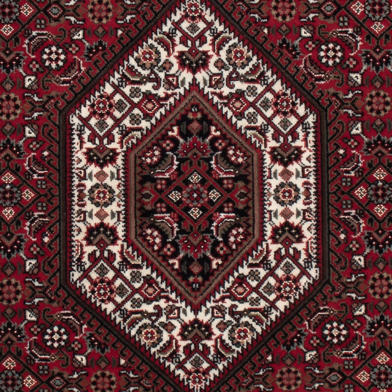Orientteppich - Bidjar - Indus - 159 x 91 cm - dunkelbeige