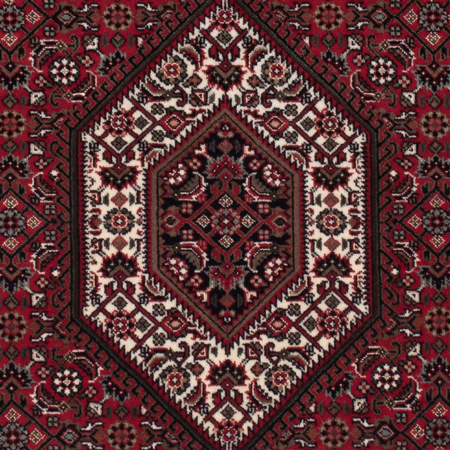 Orientteppich - Bidjar - Indus - 160 x 92 cm - dunkelbeige