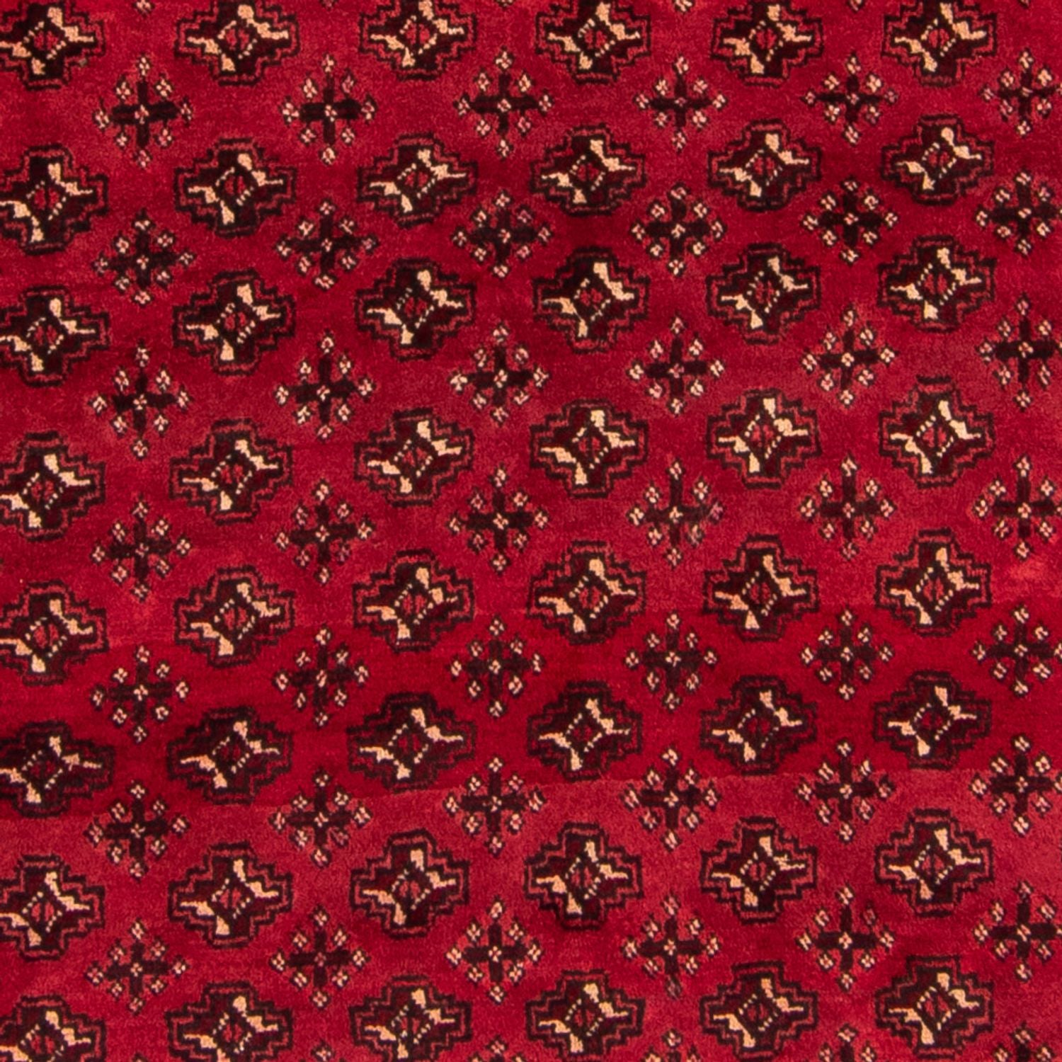Turkaman Teppich - 239 x 130 cm - rot