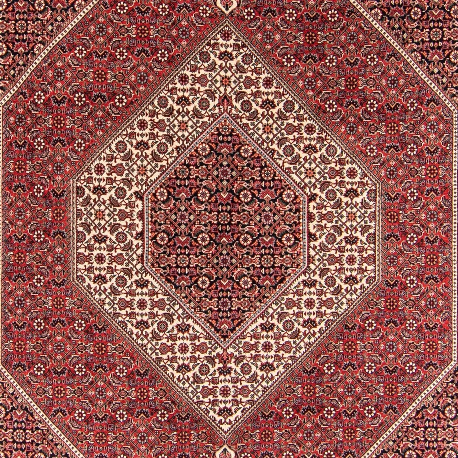 Perserteppich - Bidjar - Royal - 252 x 174 cm - rot