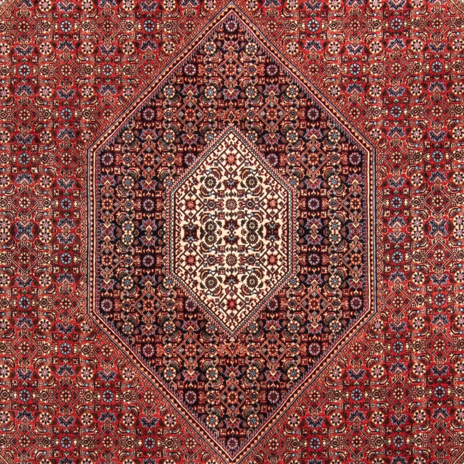 Perserteppich - Bidjar - Royal - 310 x 205 cm - rot