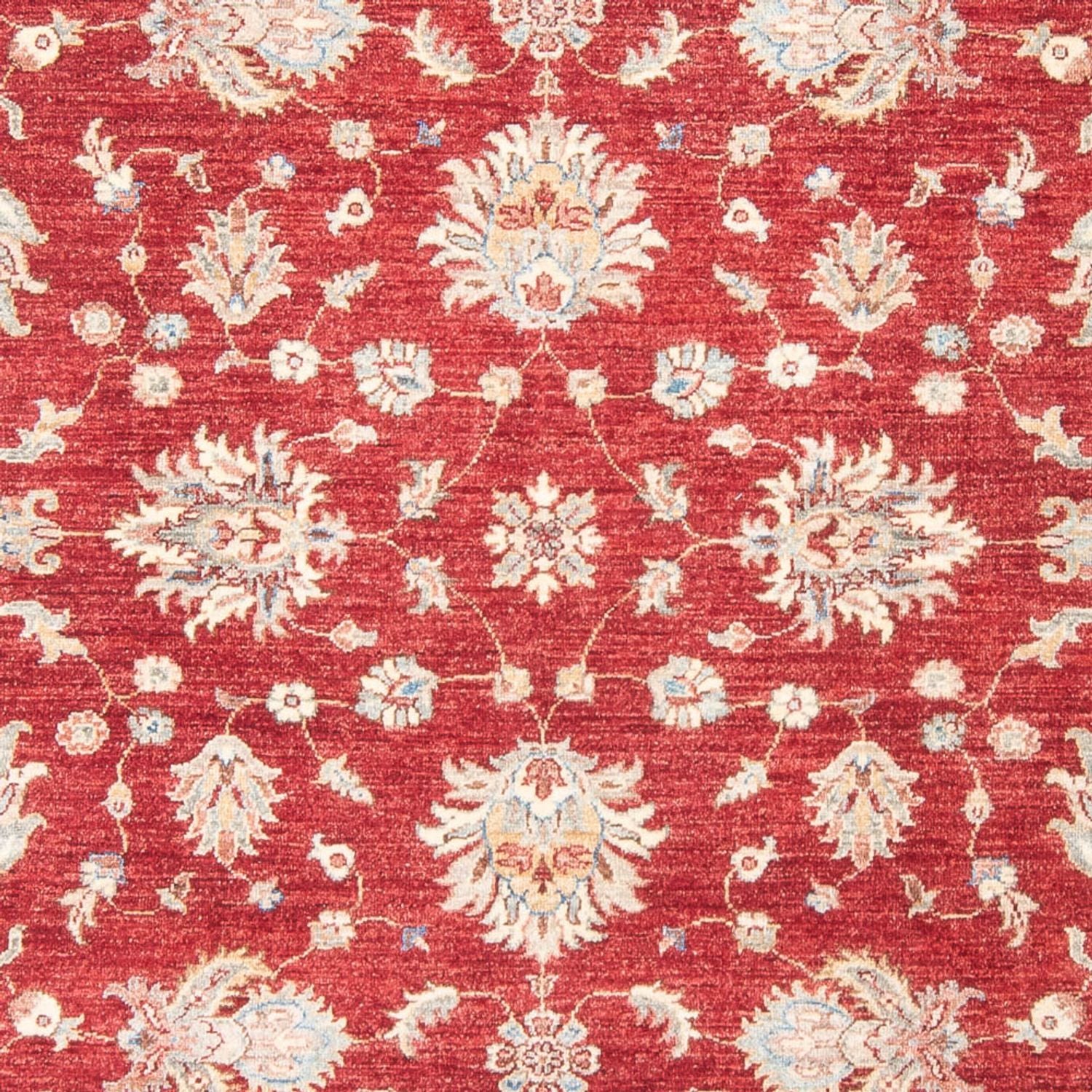 Ziegler Teppich - 243 x 178 cm - rot