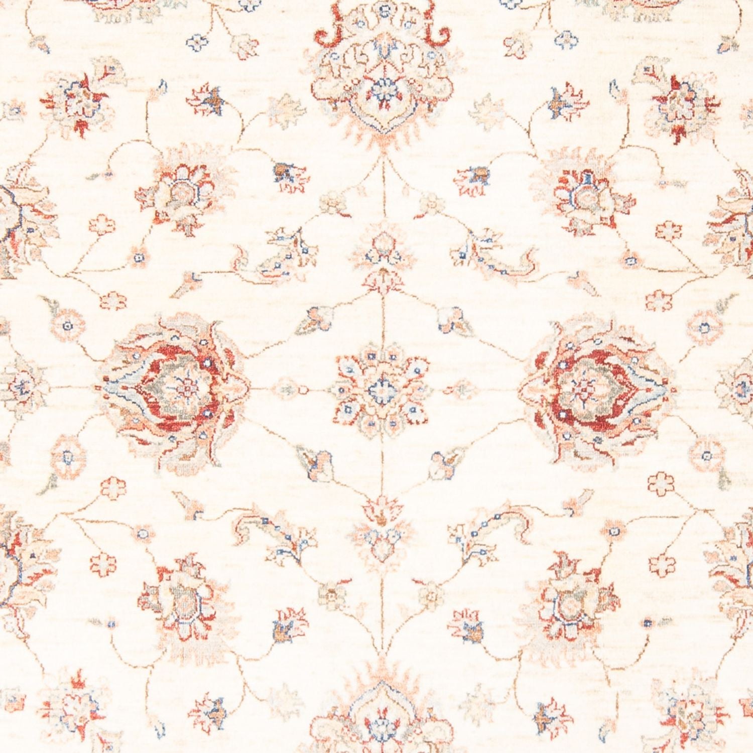Ziegler Teppich - 245 x 176 cm - beige