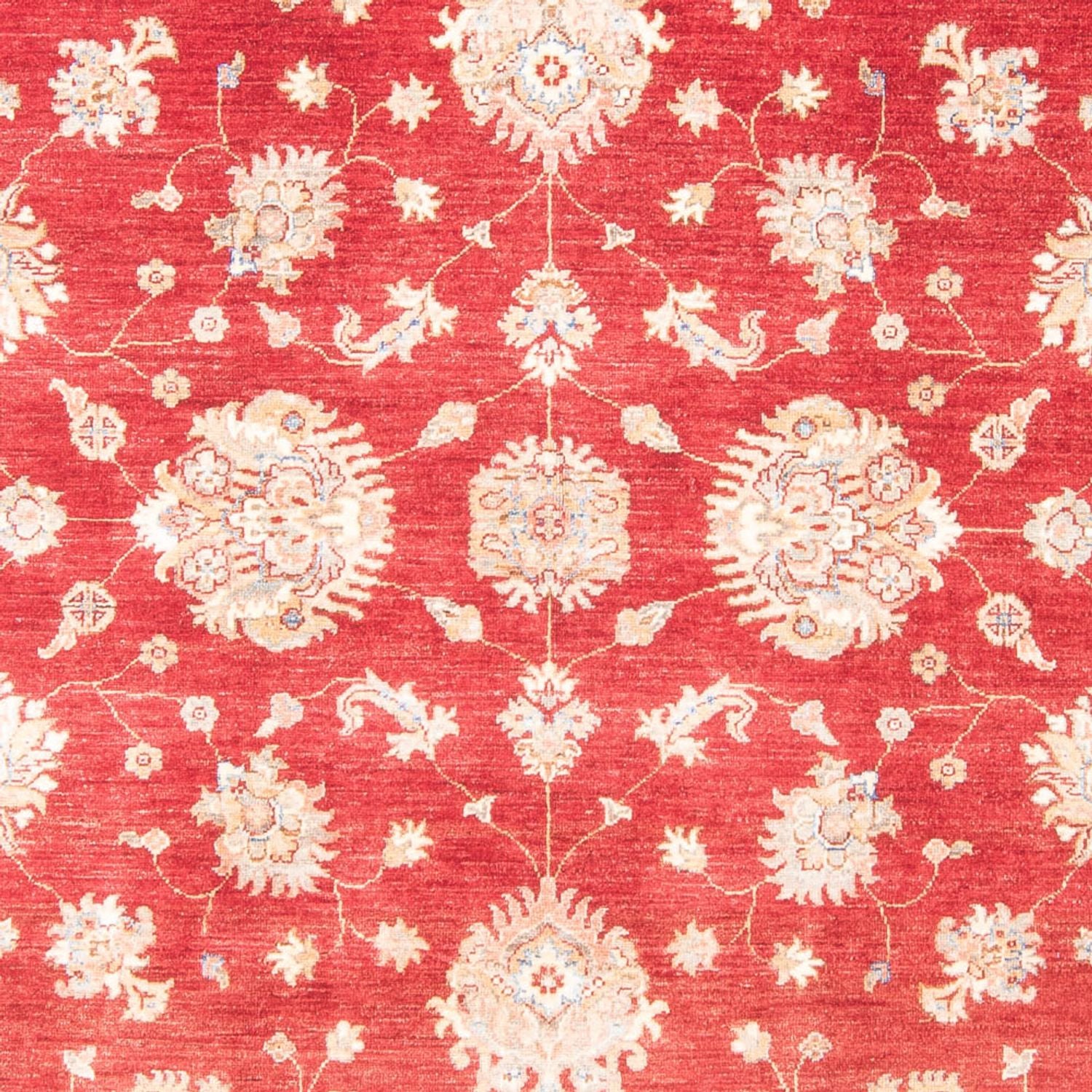 Ziegler Teppich - 258 x 182 cm - rot