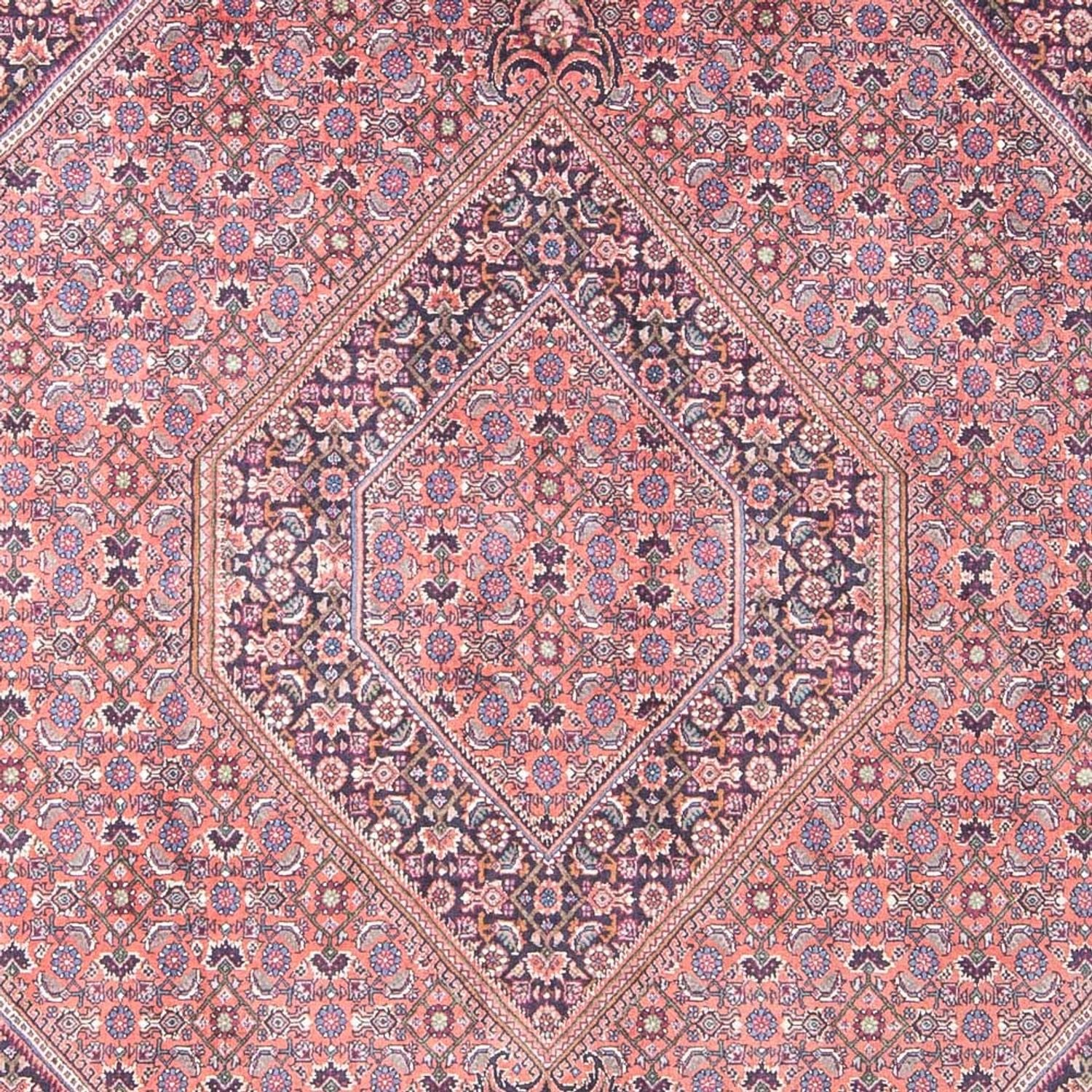 Perserteppich - Bidjar - 240 x 145 cm - hellrot