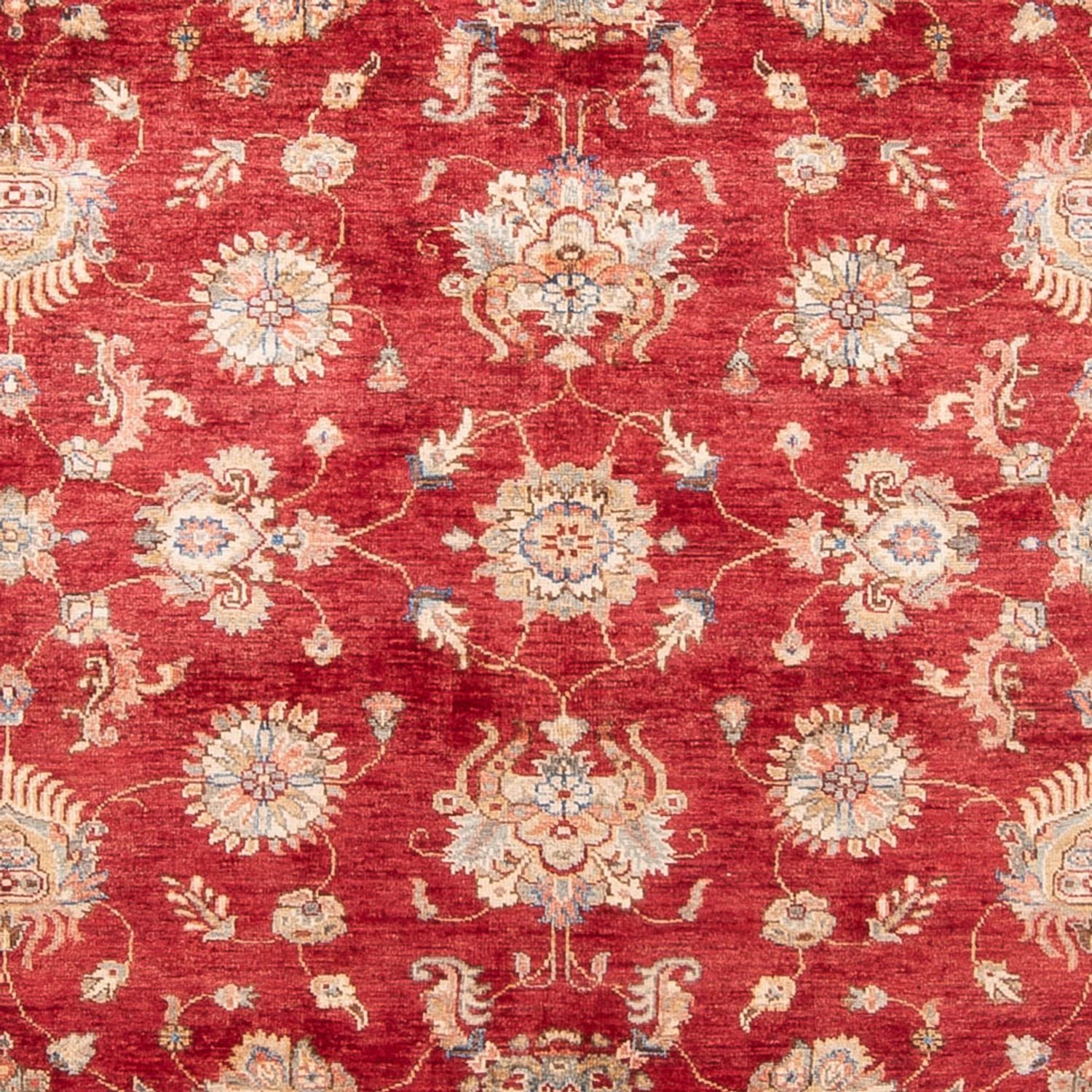Ziegler Teppich - 298 x 209 cm - rot