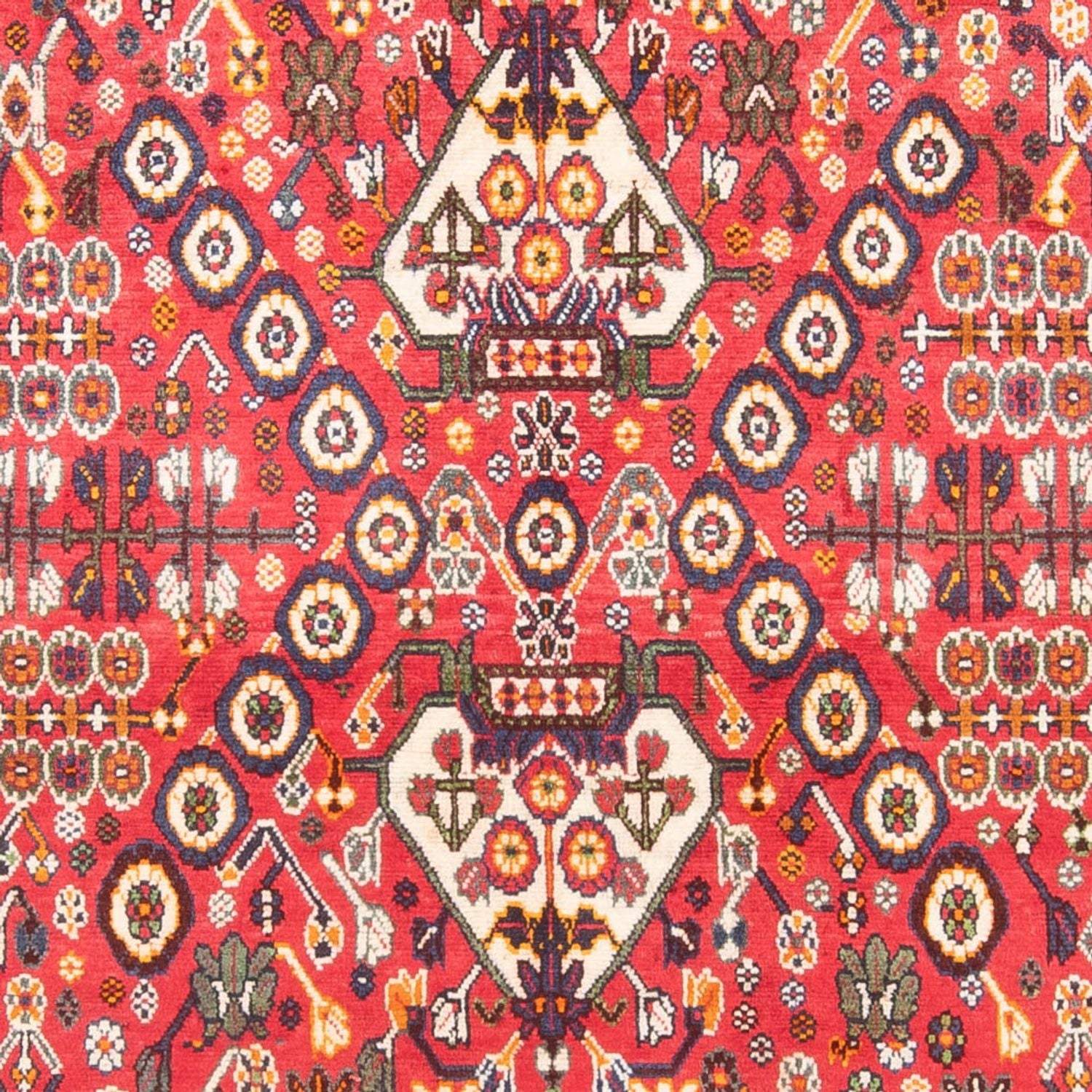 Perserteppich - Nomadic - 252 x 155 cm - rot