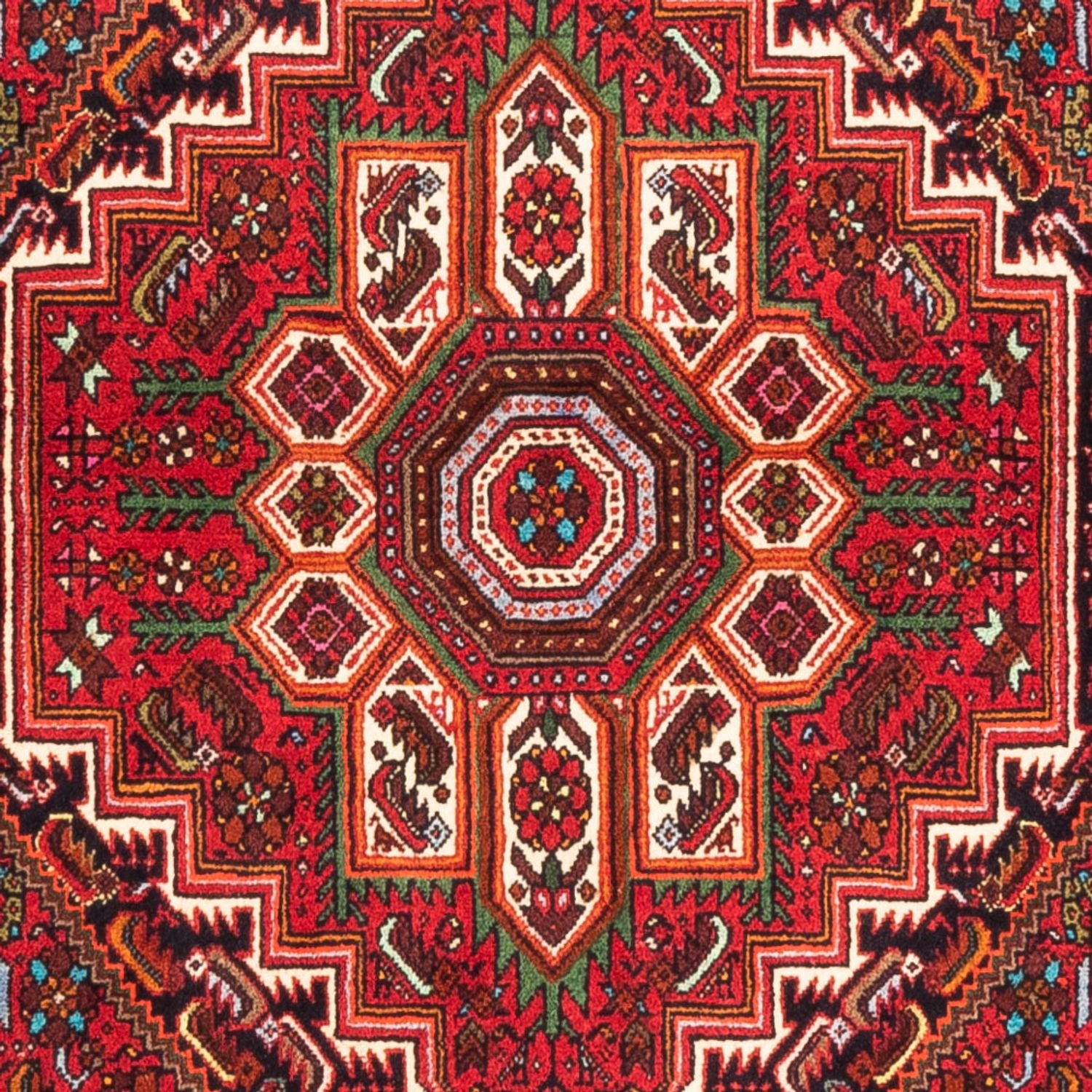 Perserteppich - Nomadic - 157 x 100 cm - rot