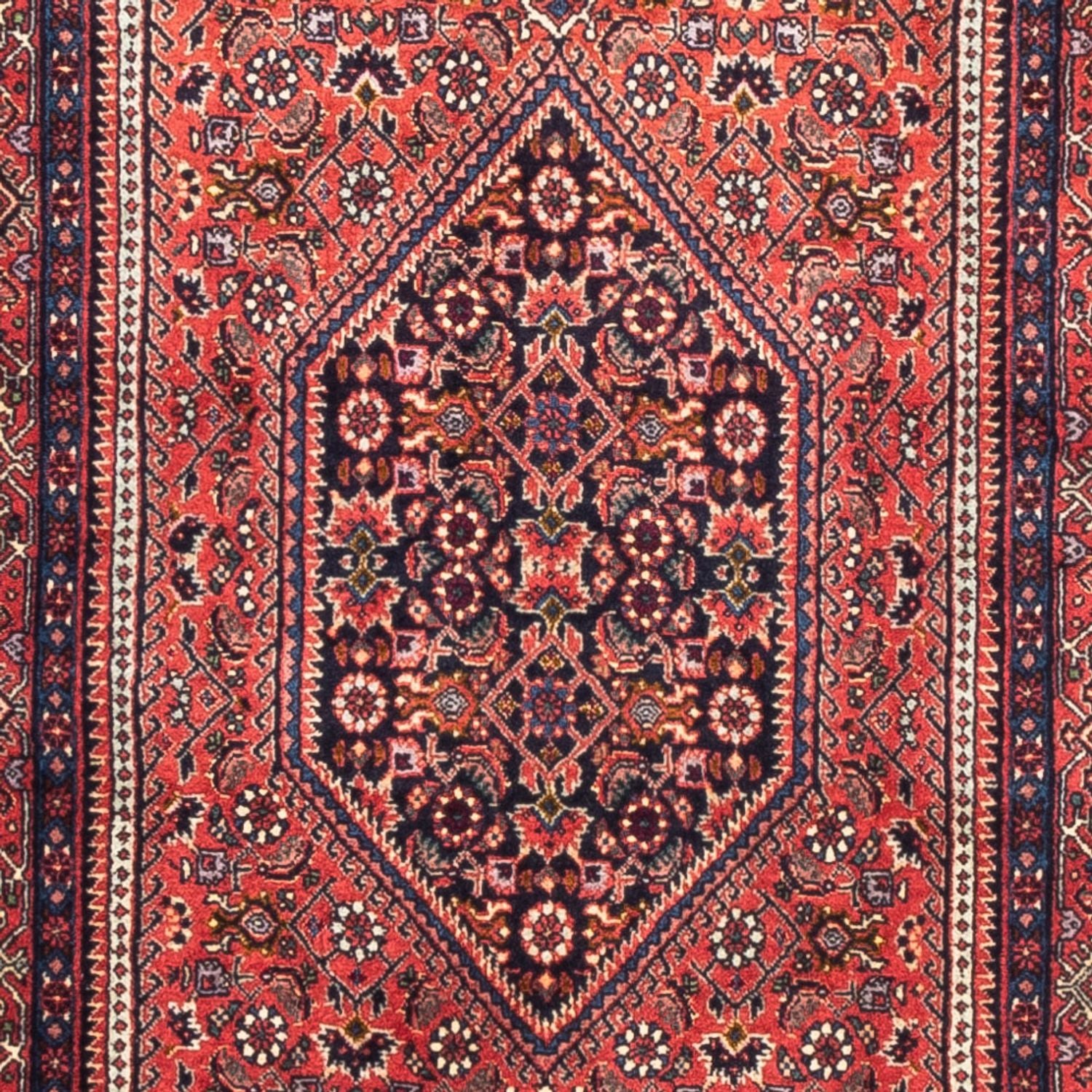 Läufer Perser - Bidjar - 226 x 77 cm - rot