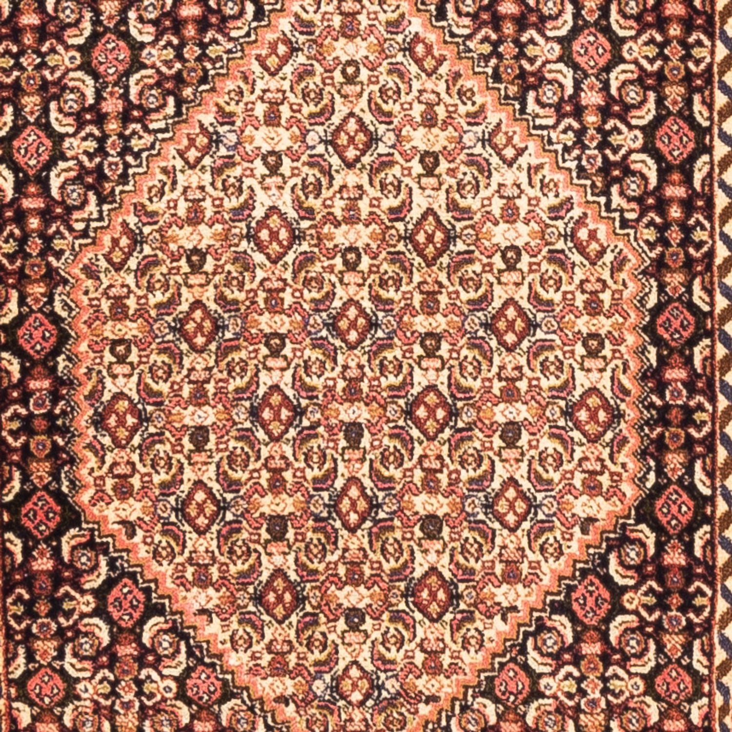 Läufer Perser - Classic - 227 x 70 cm - dunkelbeige