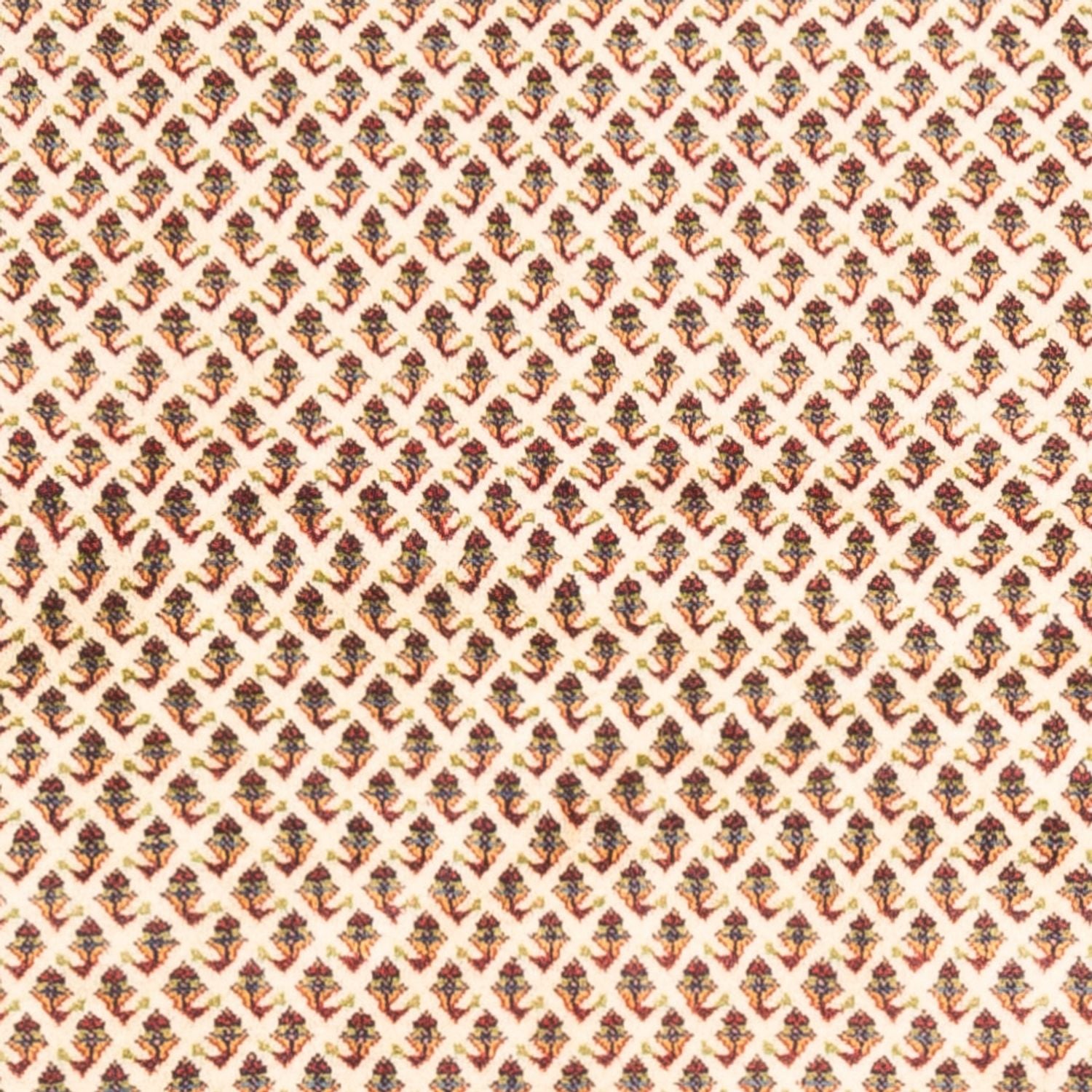 Perserteppich - Mir - 250 x 210 cm - hellbeige