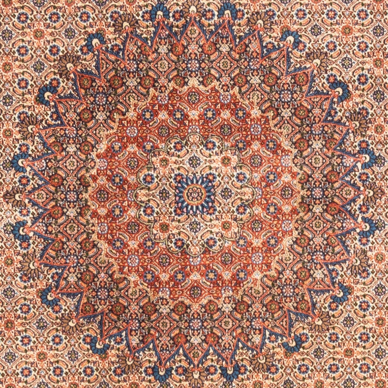 Perserteppich - Classic - 244 x 194 cm - dunkelbeige