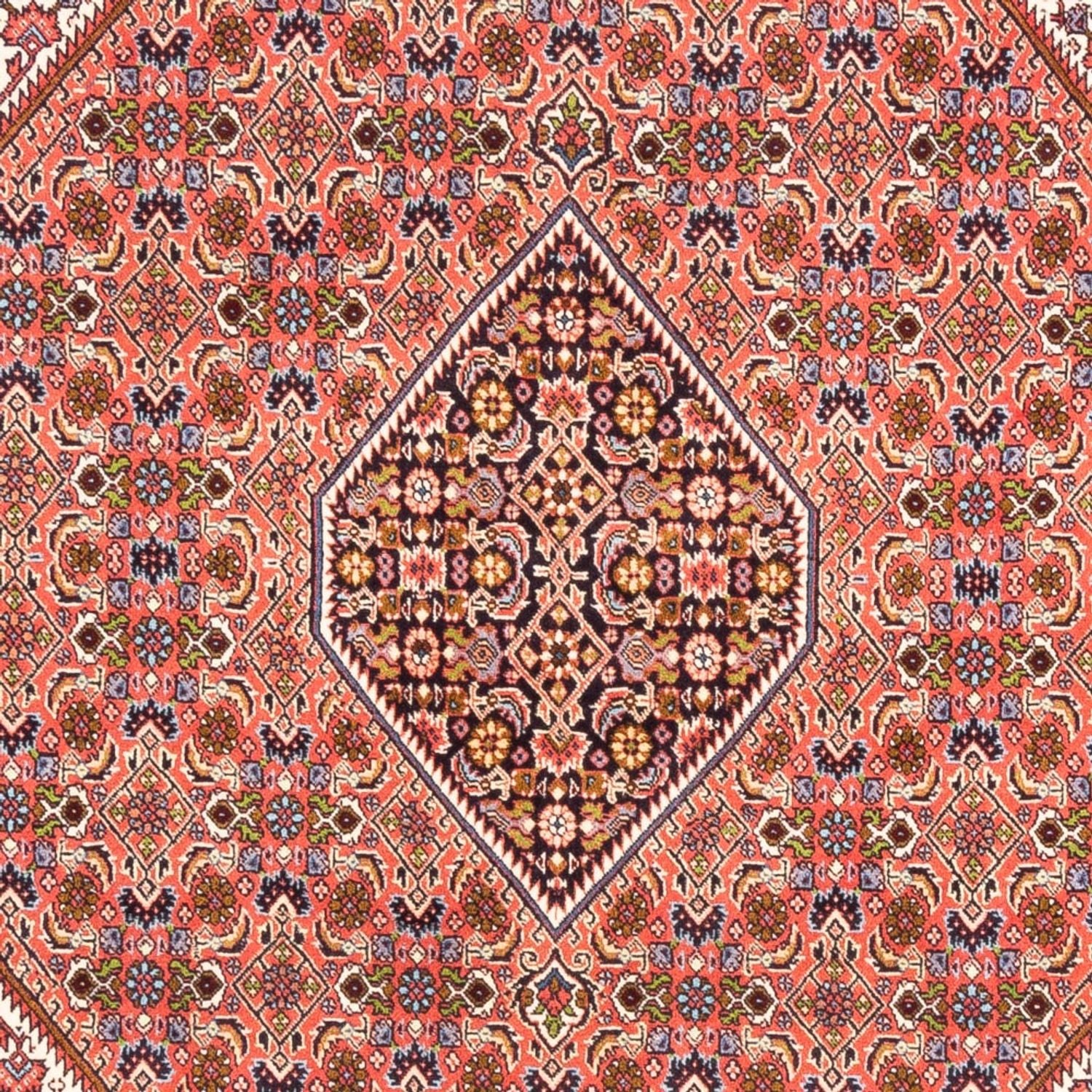 Perserteppich - Bidjar - Royal - 247 x 172 cm - rot