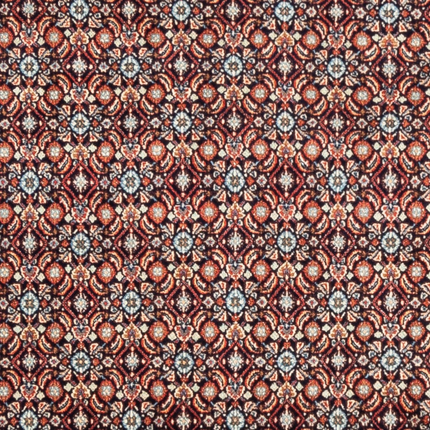 Perserteppich - Classic - 244 x 197 cm - dunkelbeige
