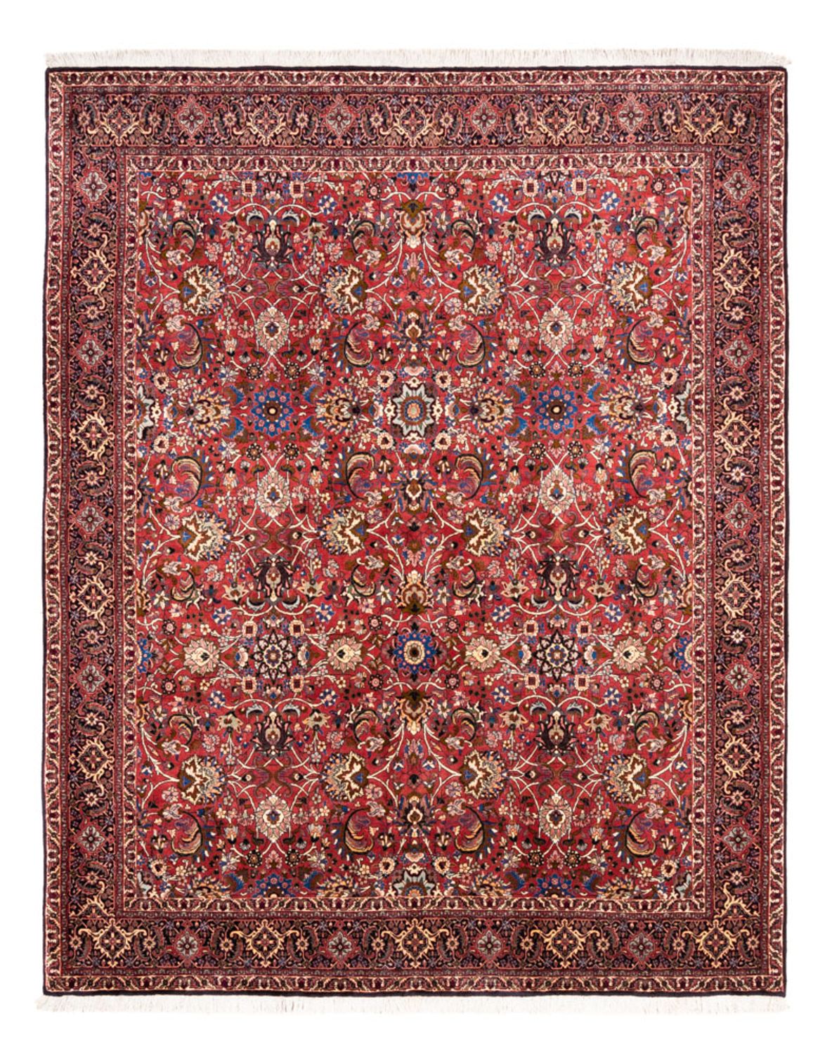 Perserteppich - Bidjar - Royal - 246 x 197 cm - bordeauxrot
