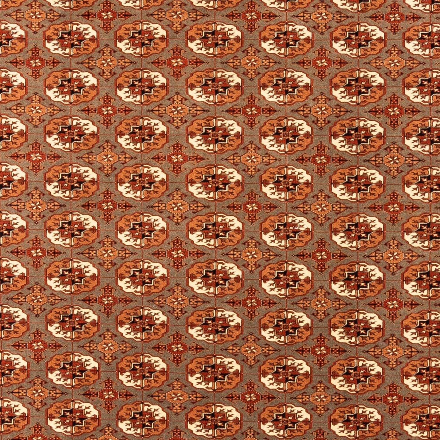 Turkaman Teppich - 305 x 205 cm - dunkelbeige
