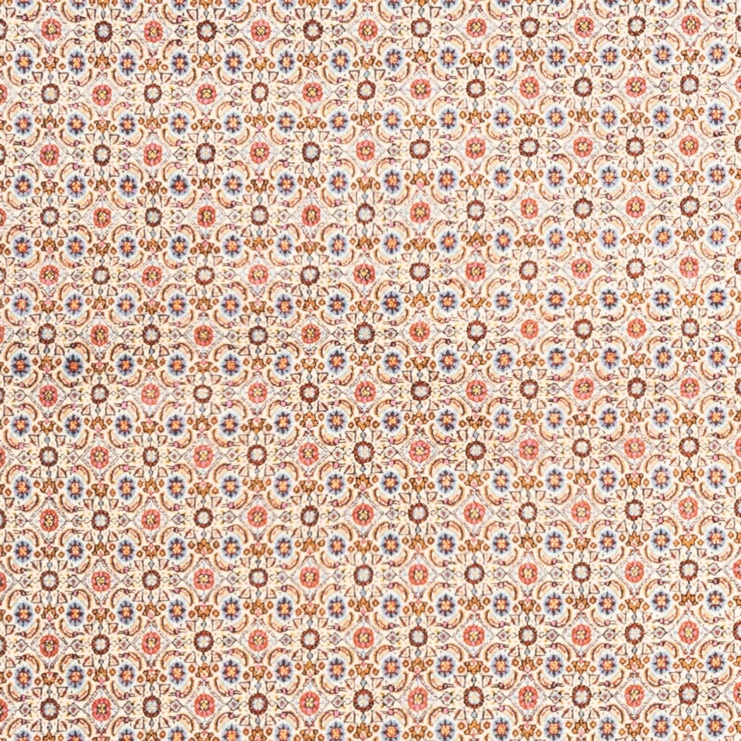 Perserteppich - Classic - 244 x 165 cm - creme