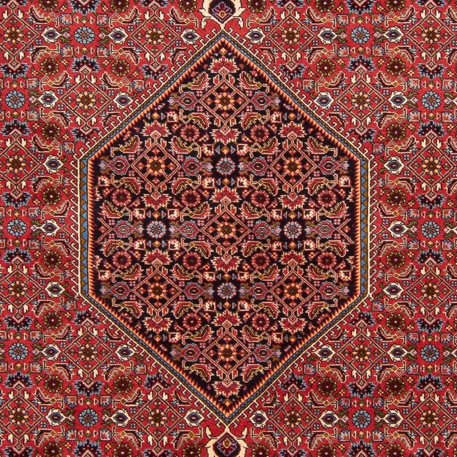 Perserteppich - Bidjar - Royal - 301 x 200 cm - rot