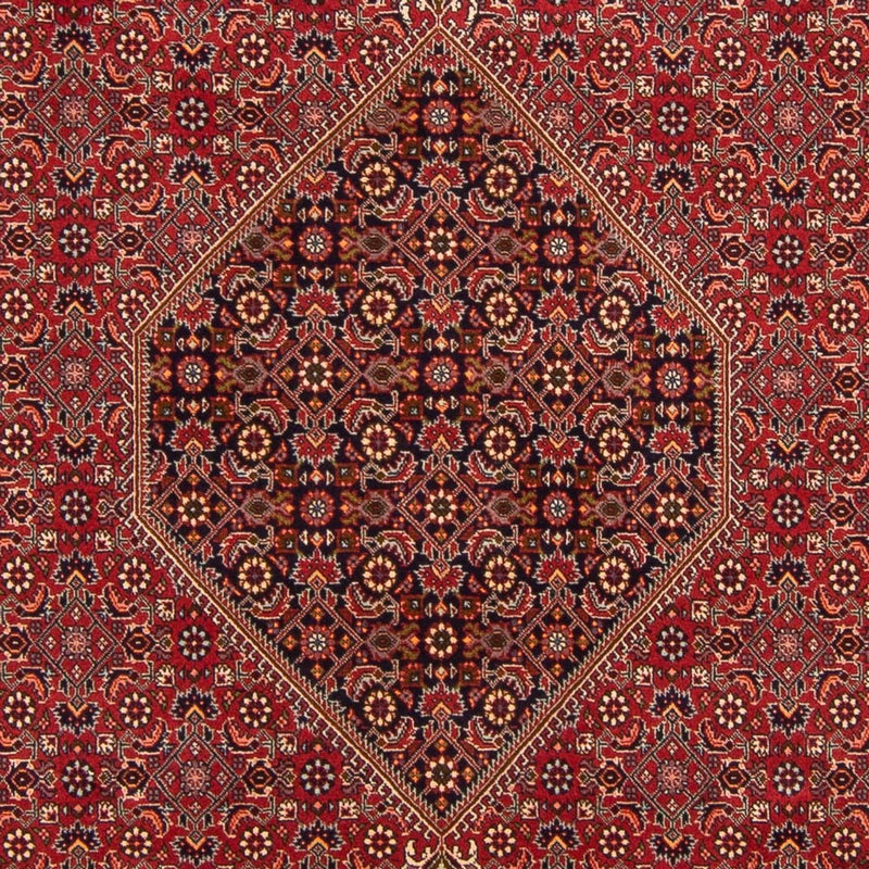 Perserteppich - Bidjar - Royal - 300 x 201 cm - rot