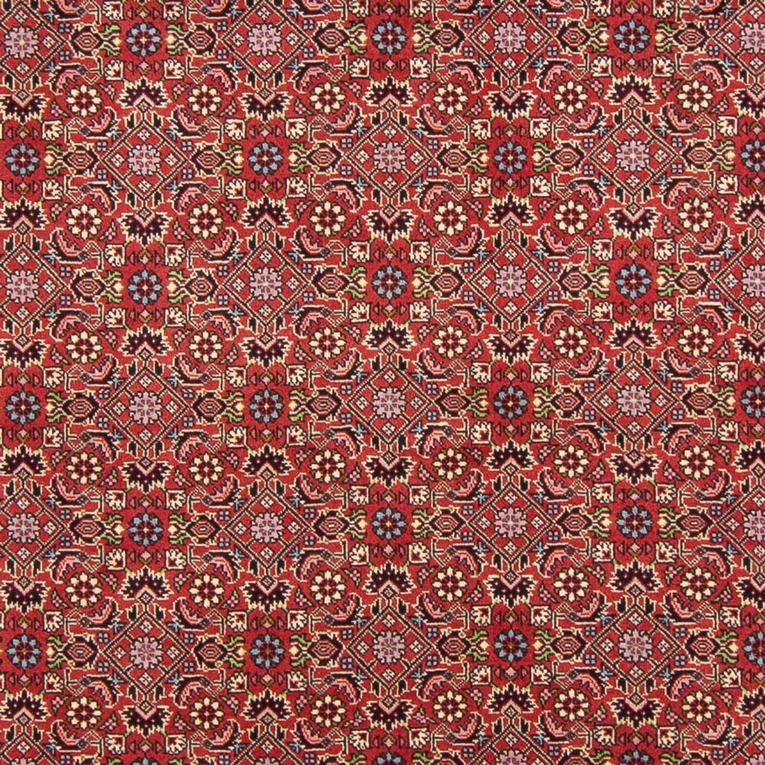 Perserteppich - Bidjar - Royal - 290 x 198 cm - rot