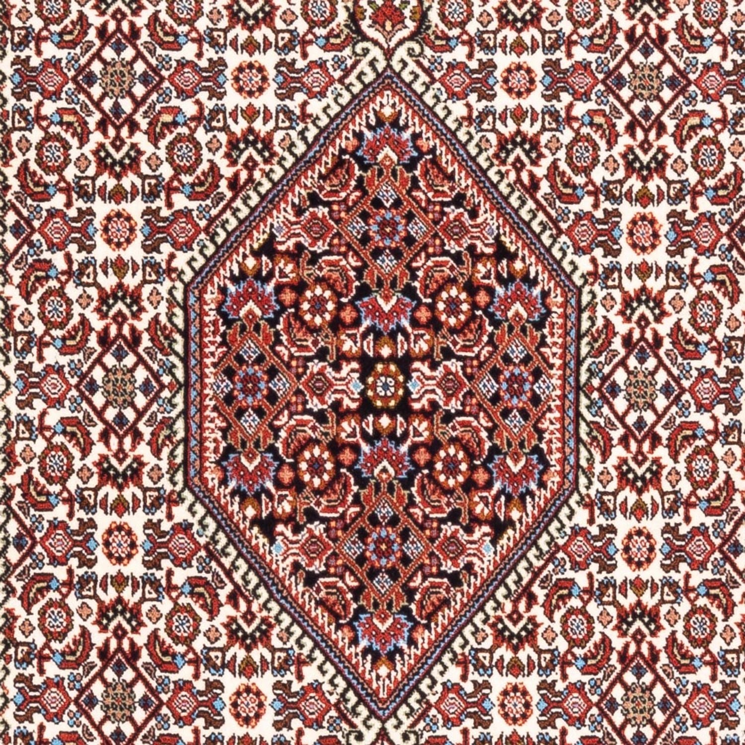 Perserteppich - Bidjar - Royal - 185 x 106 cm - creme