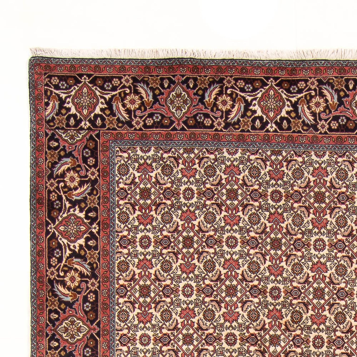 Perserteppich - Bidjar - Royal - 290 x 200 cm - creme