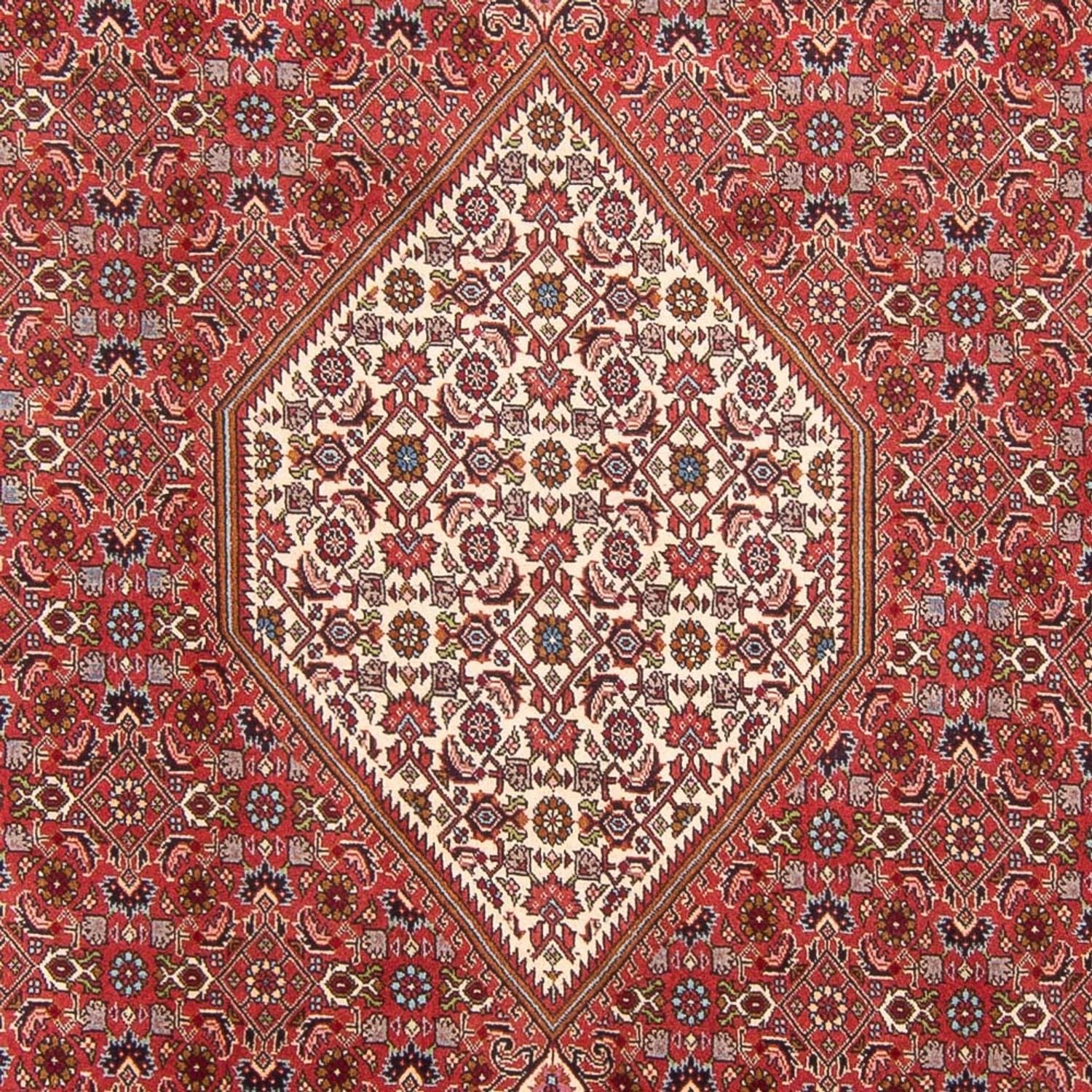 Perserteppich - Bidjar - Royal - 310 x 203 cm - rot
