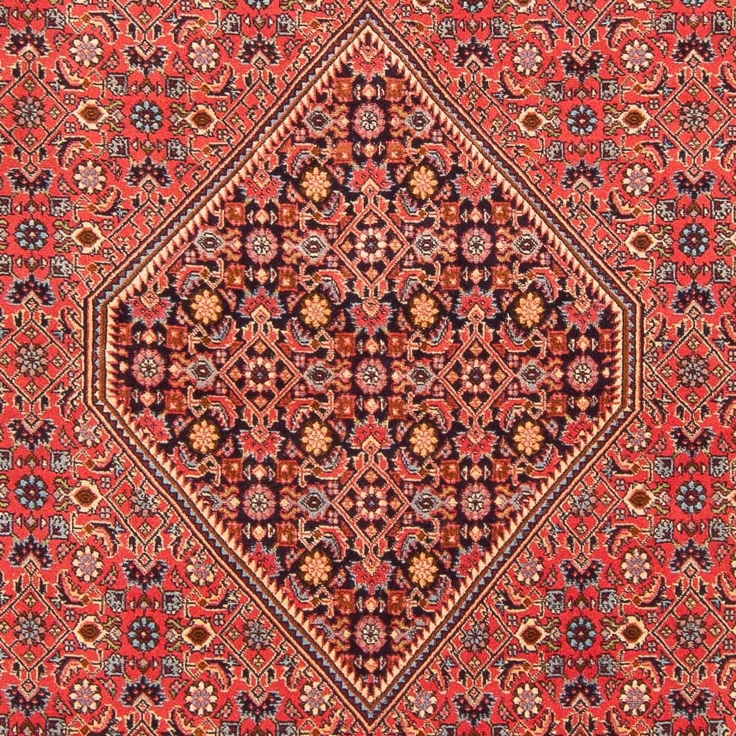 Perserteppich - Bidjar - Royal - 260 x 200 cm - rot