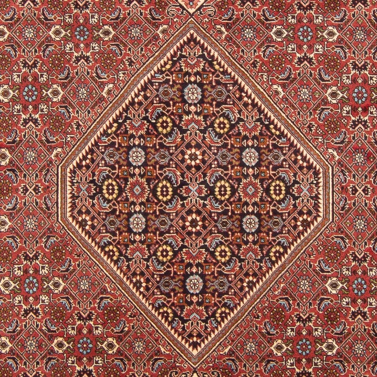 Perserteppich - Bidjar - Royal - 307 x 203 cm - rot