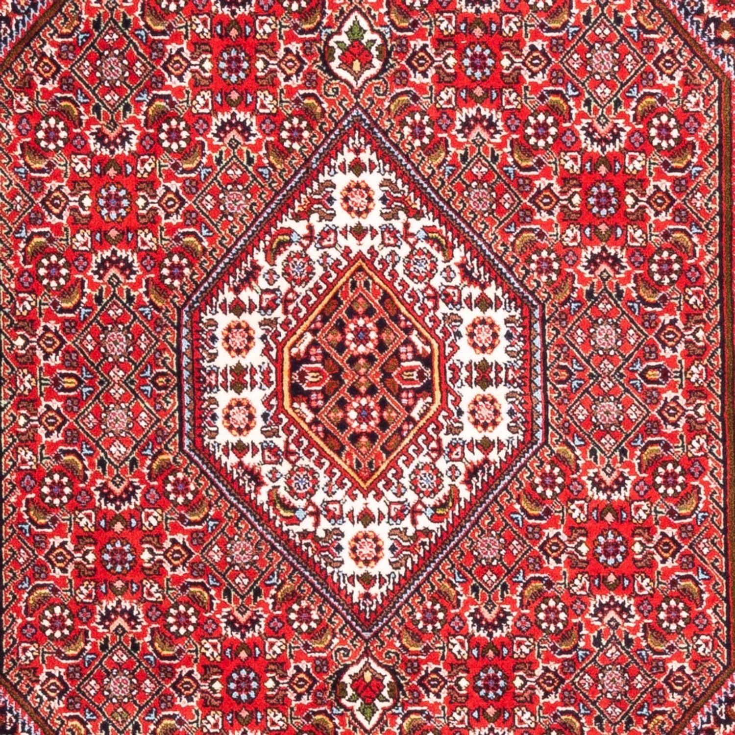 Perserteppich - Bidjar - Royal - 170 x 110 cm - rot