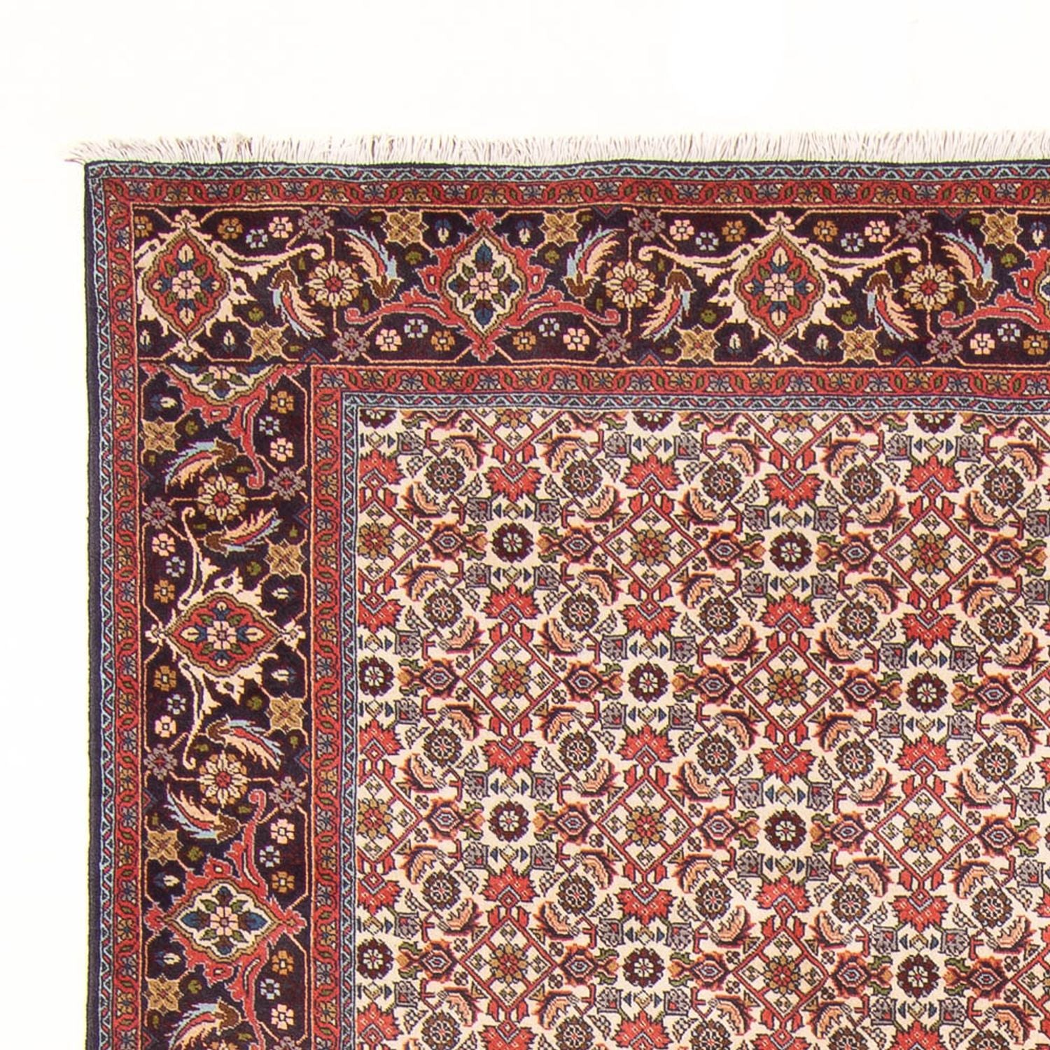 Perserteppich - Bidjar - Royal - 294 x 200 cm - creme