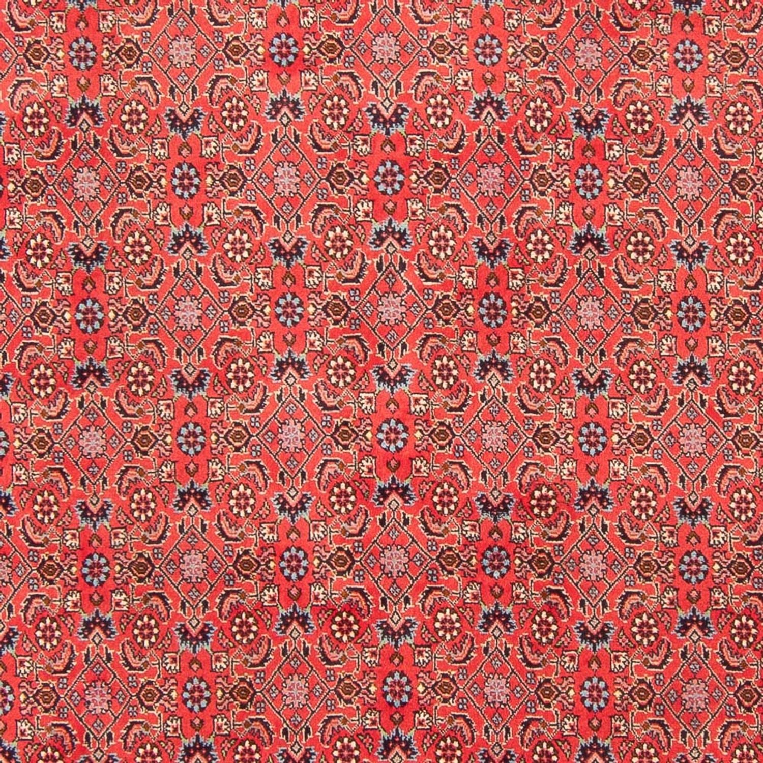 Perserteppich - Bidjar - Royal - 294 x 200 cm - rot