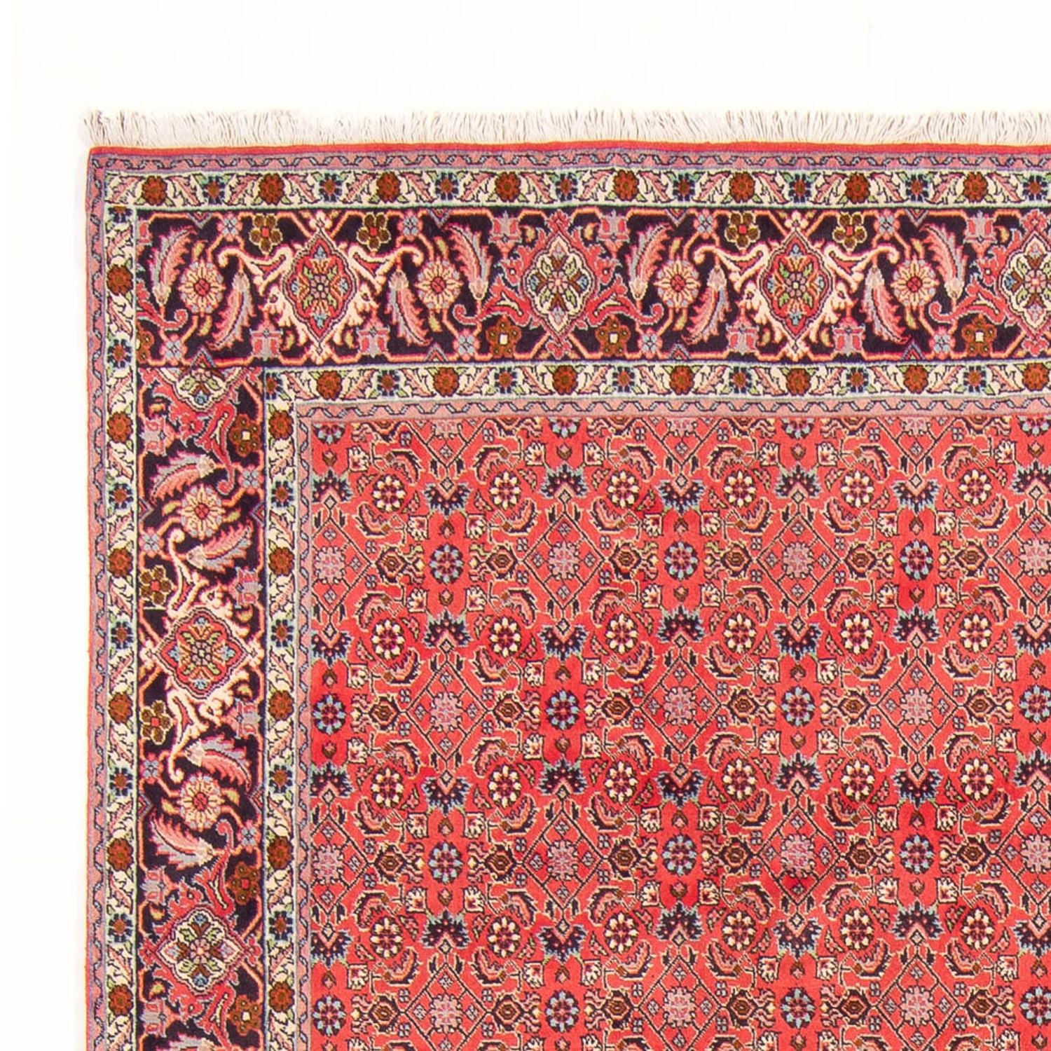 Perserteppich - Bidjar - Royal - 294 x 200 cm - rot