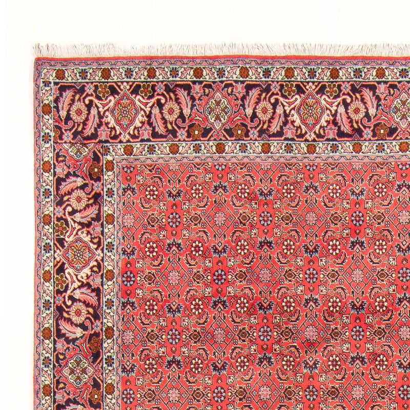 Perserteppich - Bidjar - Royal - 294 x 200 cm - rot