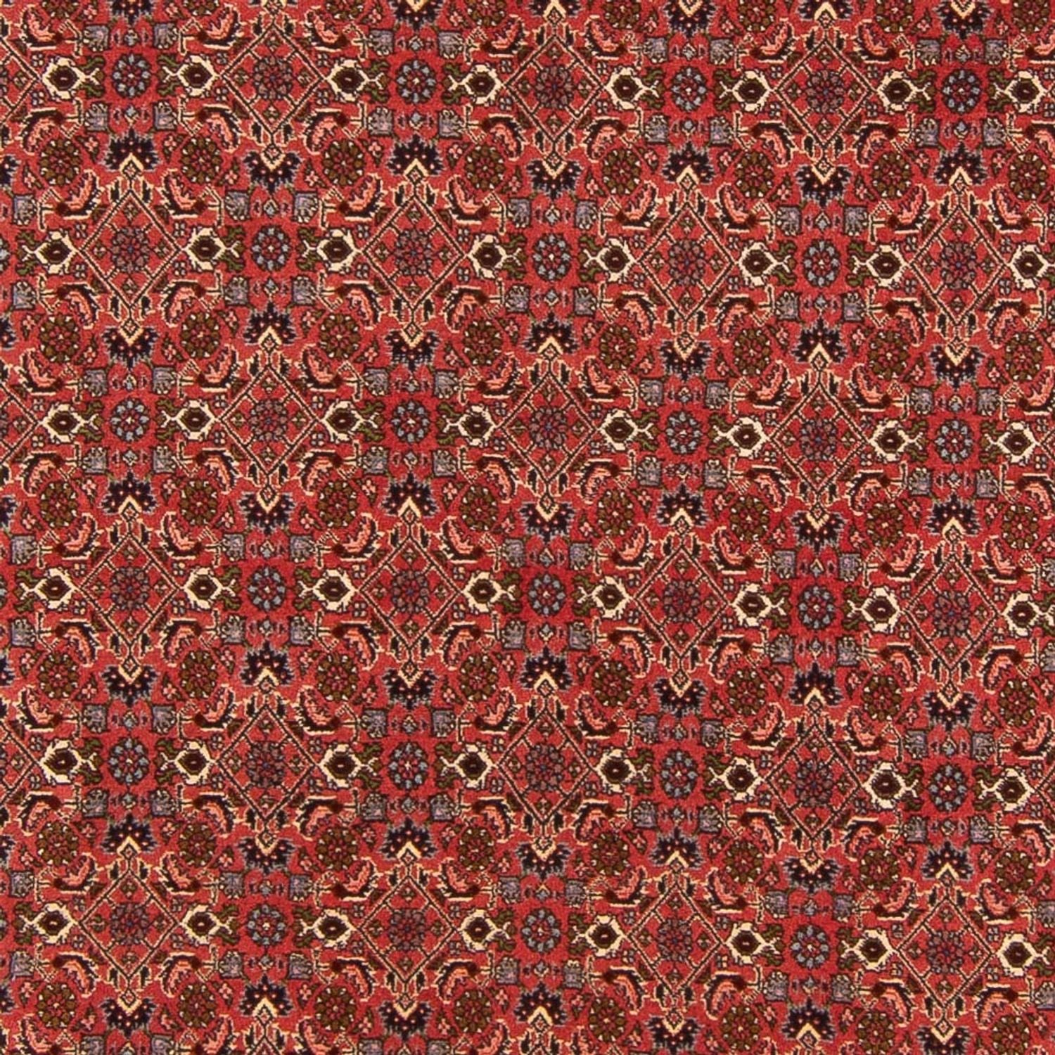 Perserteppich - Bidjar - Royal - 289 x 195 cm - rot