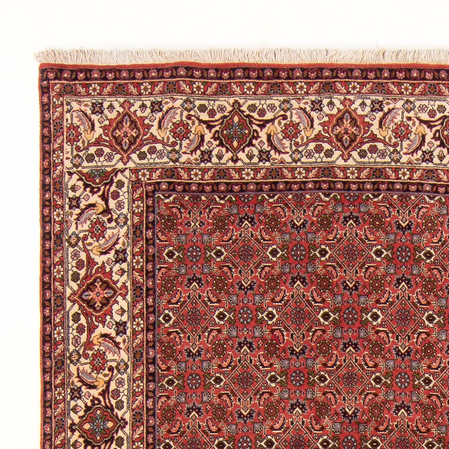 Perserteppich - Bidjar - Royal - 289 x 195 cm - rot