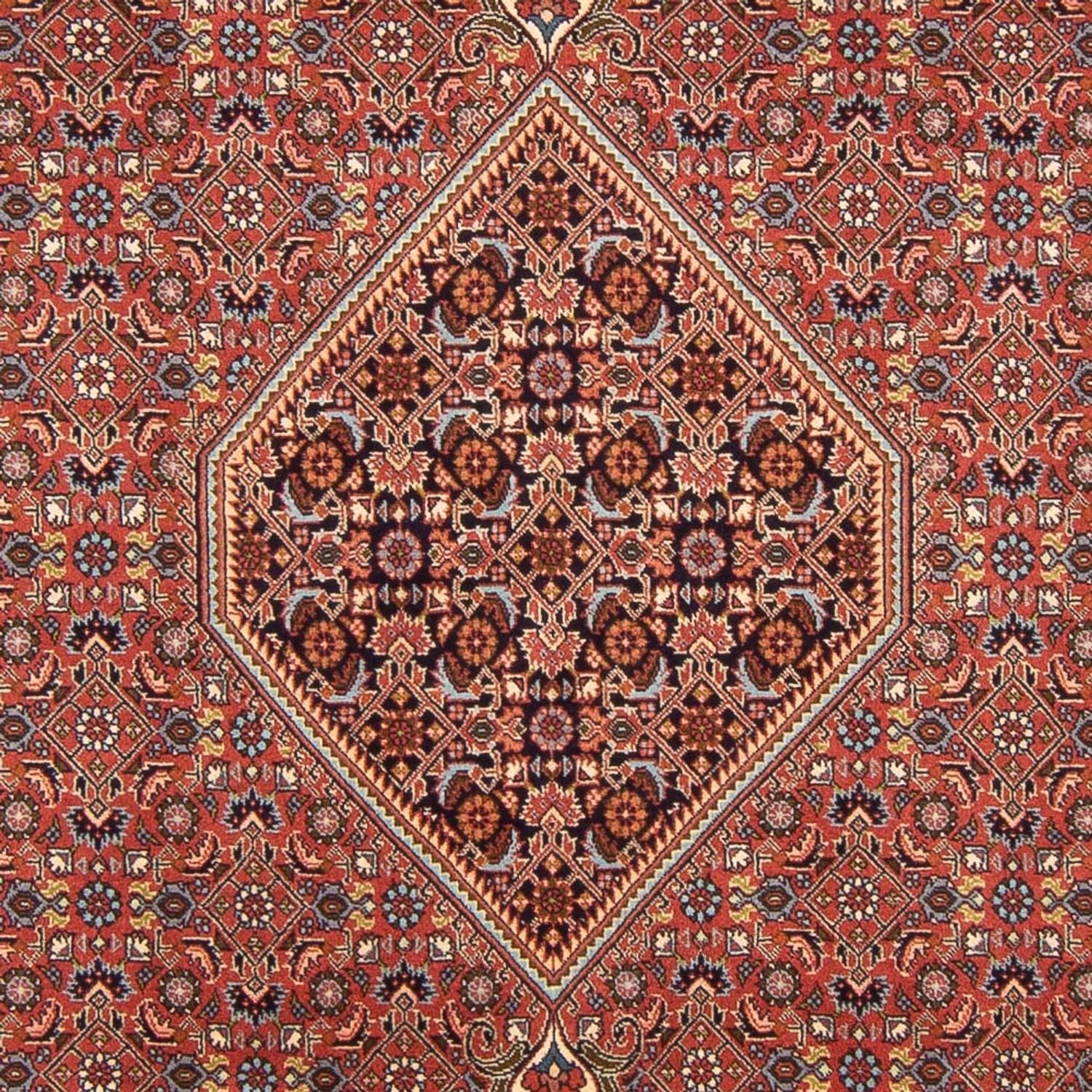 Perserteppich - Bidjar - Royal - 296 x 197 cm - rot