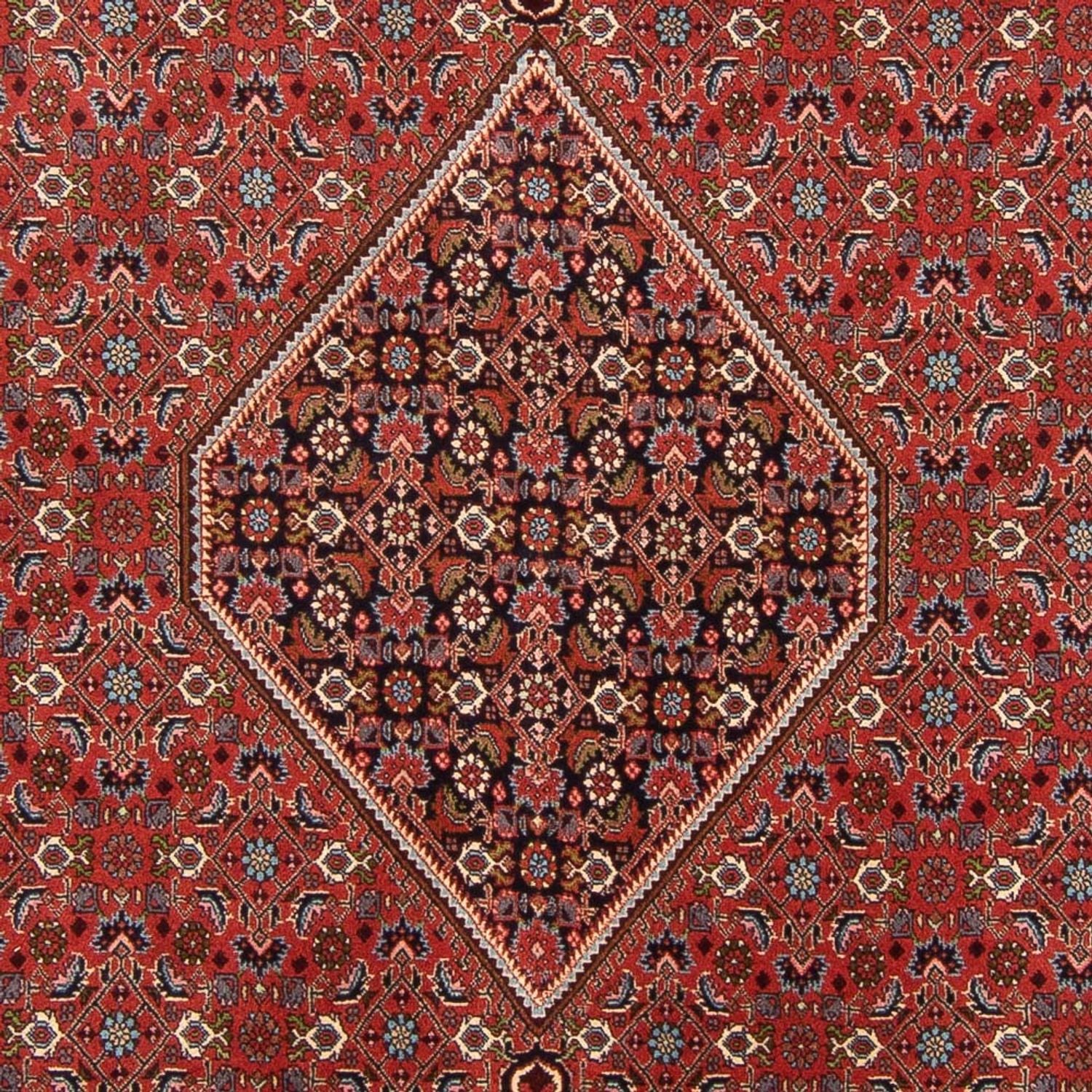 Perserteppich - Bidjar - Royal - 310 x 200 cm - rot