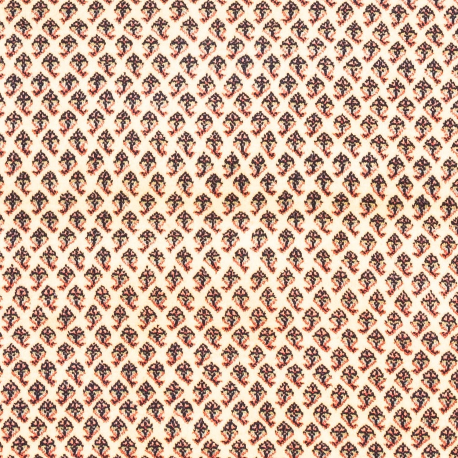 Perserteppich - Mir - 160 x 107 cm - creme