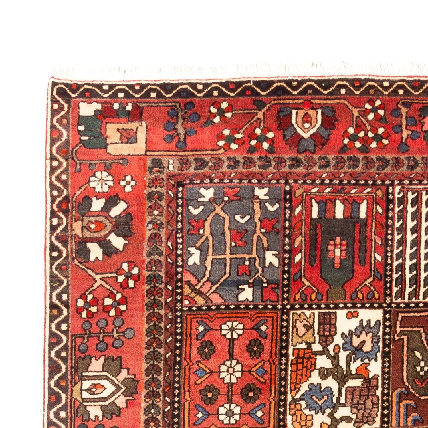 Perserteppich - Nomadic - 314 x 207 cm - mehrfarbig
