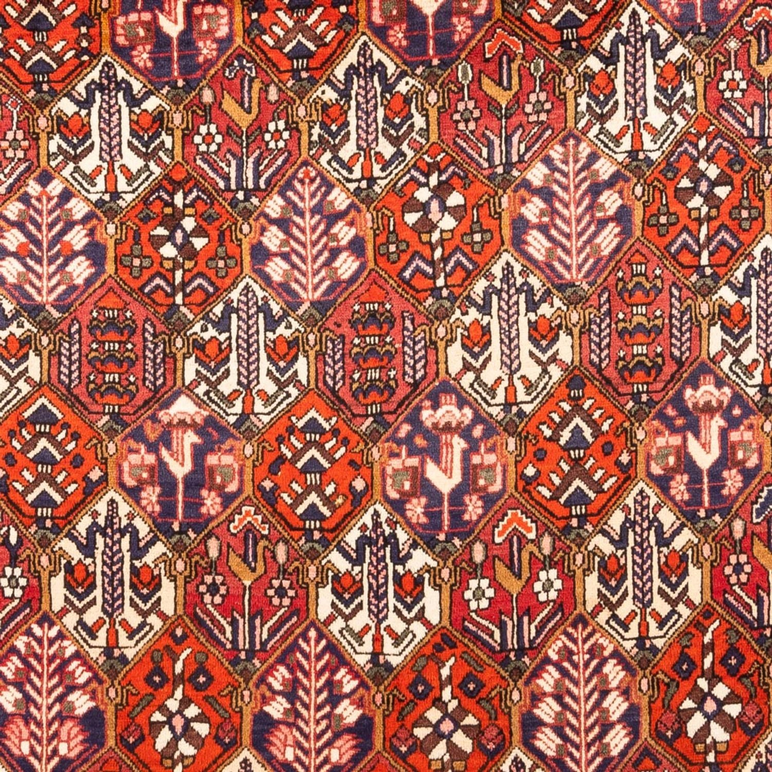 Perserteppich - Nomadic - 310 x 210 cm - rot