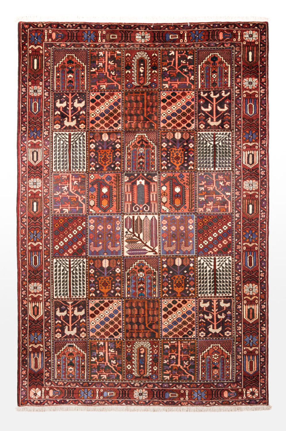 Perserteppich - Nomadic - 310 x 208 cm - mehrfarbig