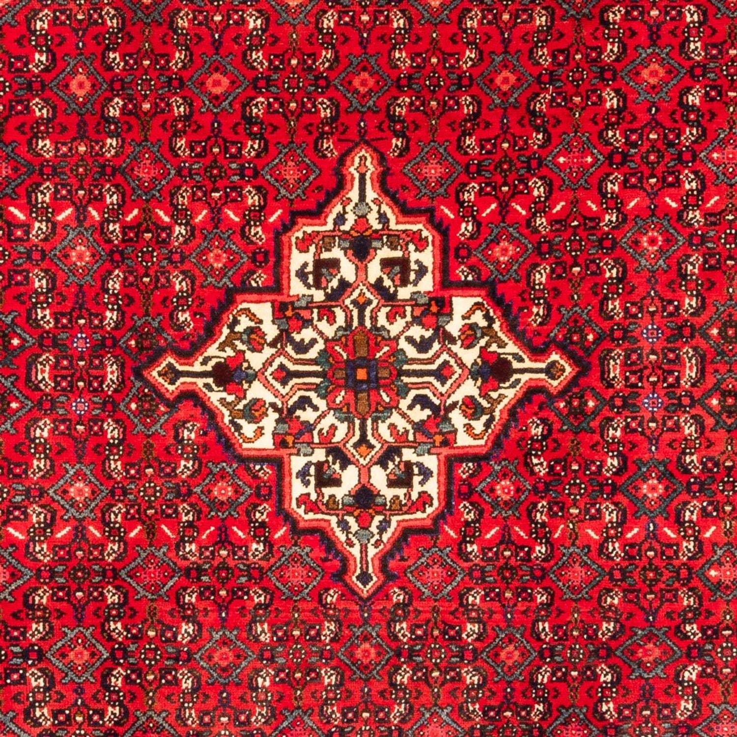 Perserteppich - Nomadic - 304 x 212 cm - rot