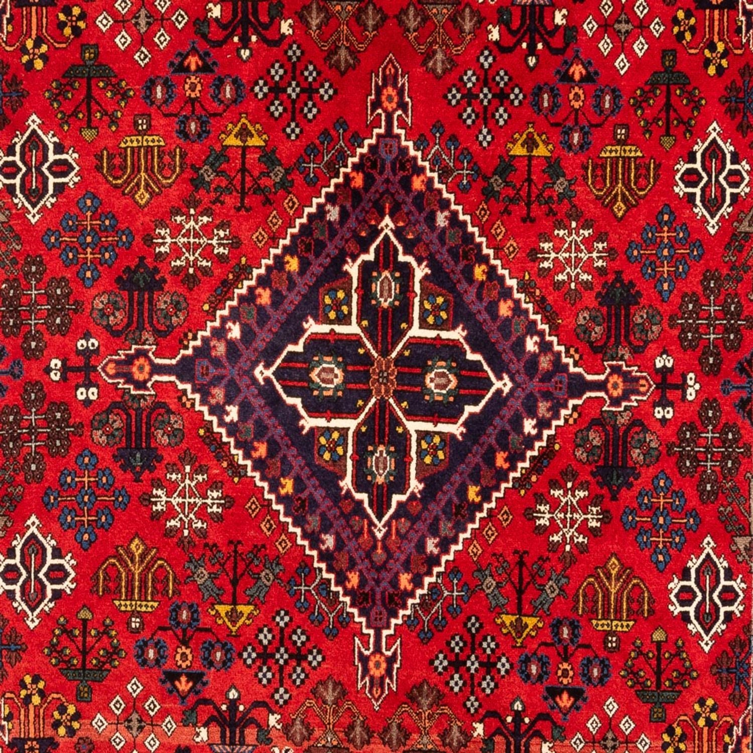 Gabbeh Teppich - Perser - 320 x 216 cm - mehrfarbig